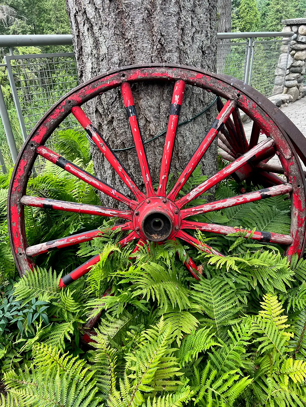 Implementation of Hospital Quality Reporting Artificial Intelligent